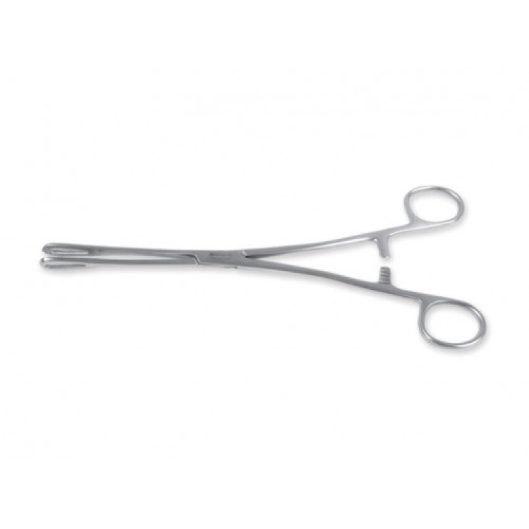 ΛΑΒΙΔΑ ΓΙΑ ΒΕΝΤΟΥΖΕΣ 