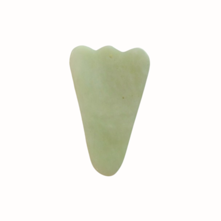Gua Sha in Feather - Shell Shape 