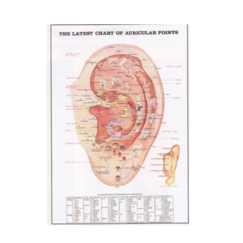 Auricular Points Poster