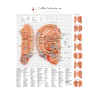 Ear Chart the New Ear Acupuncture Dr.Bahr 