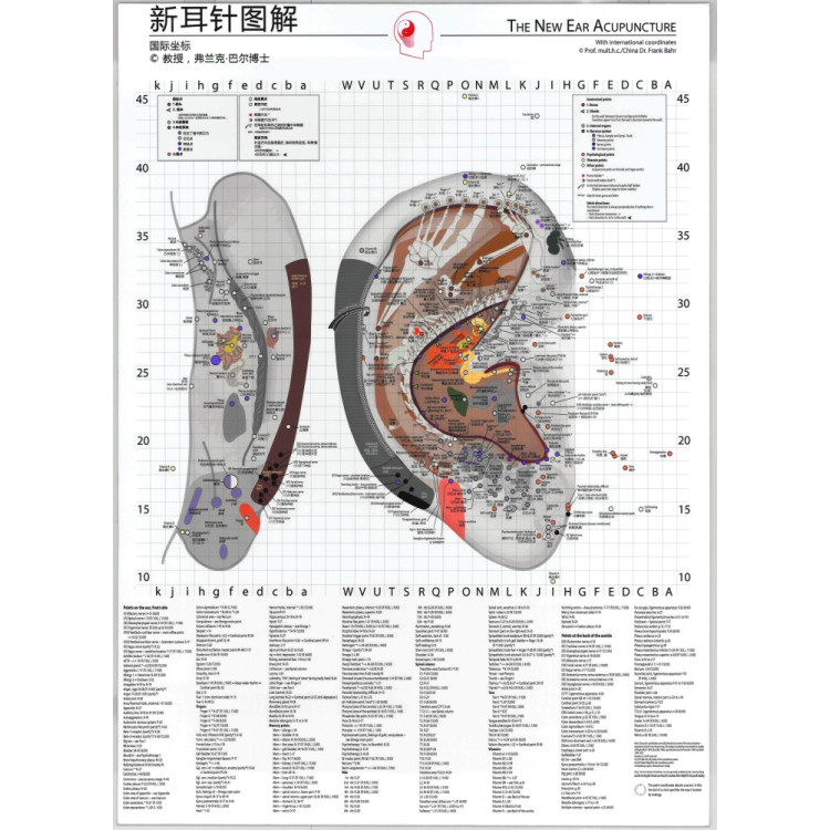 Ear Chart the New Ear Acupuncture Dr.Bahr 