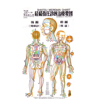Poster Shiatsu Meridian 