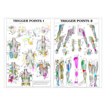  Poster Trigger Points ( Set of 2)