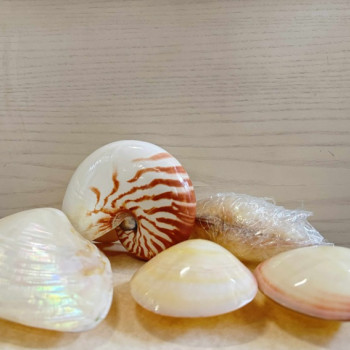 ΣΕΤ ΚΟΧΥΛΙΑ ΓΙΑ ΜΑΣΑΖ