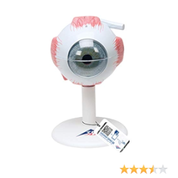 F15 eye 3 times full, 6 part 