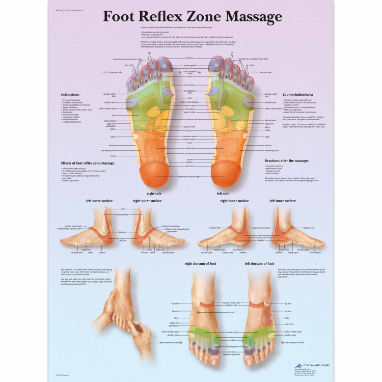 VR1810 Foot Reflex Zone Massage Poster