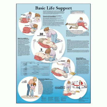 VR1770 Basic Life Support Poster