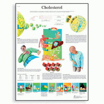 VR1452 Cholesterol Poster
