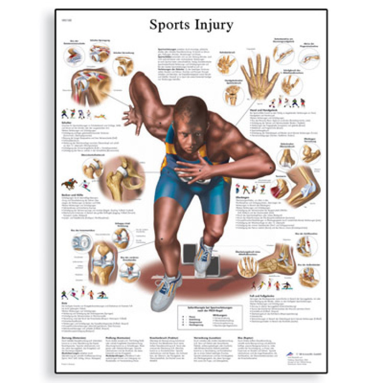 VR1188 Sports Injurier Poster